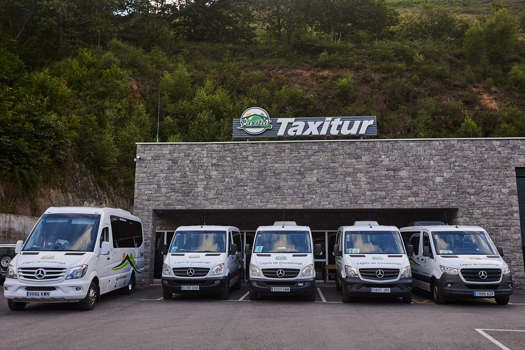 Oficinas de Taxitur en Cangas de Onís